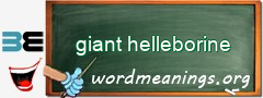 WordMeaning blackboard for giant helleborine